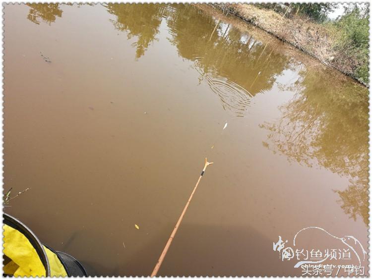 国庆节的来历,国庆头像