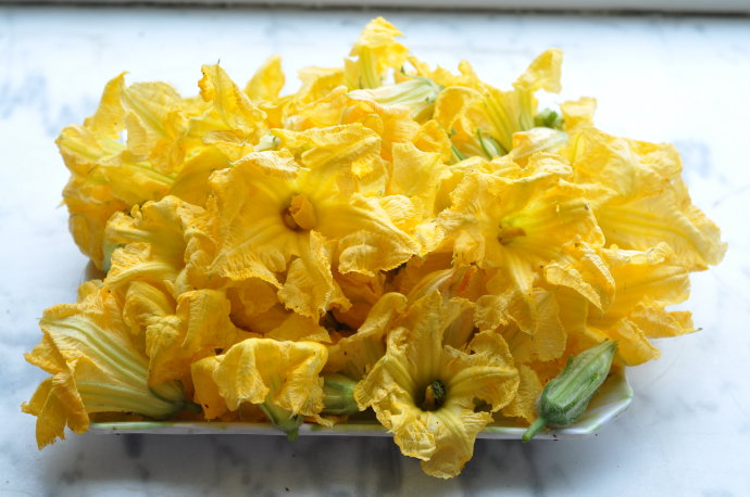 2021年农民种什么农产品最赚钱,2016年农民种植什么最赚钱