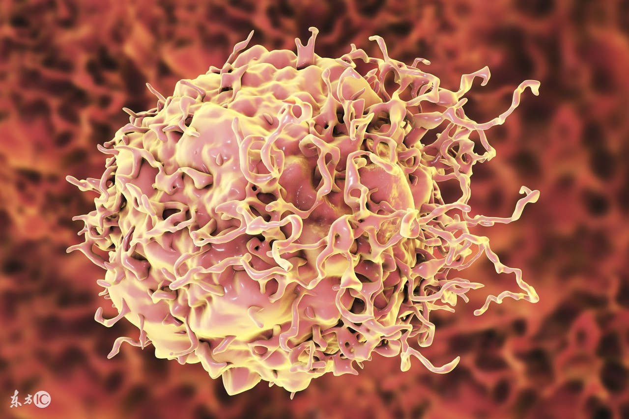 核桃油真的有网上说的那么好吗,核桃油到底有没有必要