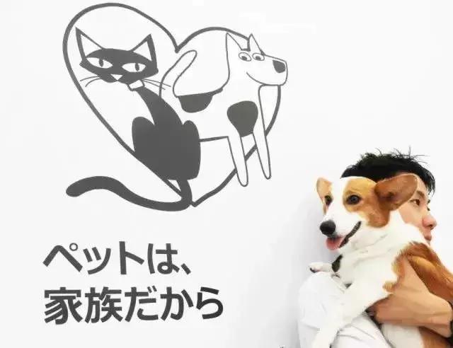 日本代购热销产品,日本代购哪些产品畅销