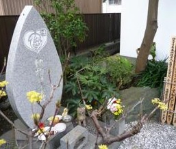 高级又豪华却便宜的宠物,精致生活的宠物