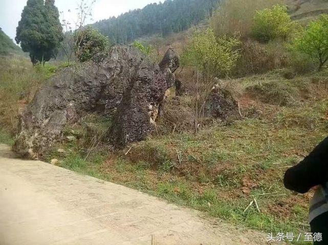 泸州深山老林景区,隐藏的世外桃源山中奇观