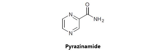 肺结核药物的研发流程,肺结核有可能研发特效药
