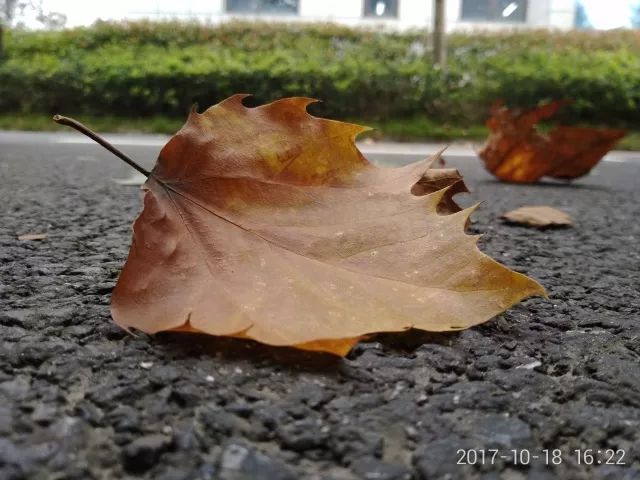 360手机和华为畅玩7x哪个更好,荣耀畅玩7x像素多少合适