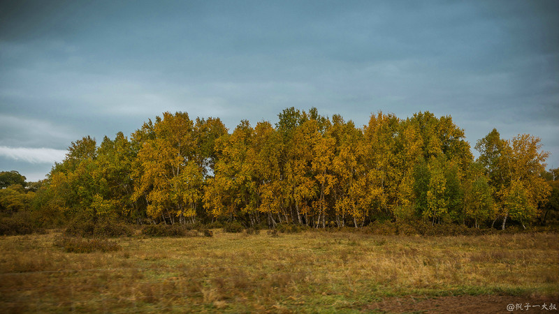草原金秋美景图片,蓝天白云大草原的美图
