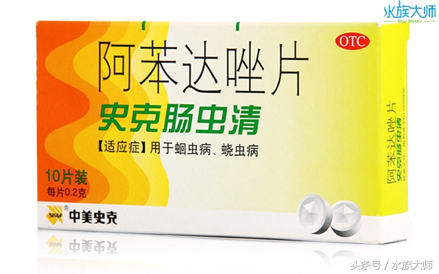 给龟体外驱虫,陆龟驱虫肠虫清用量