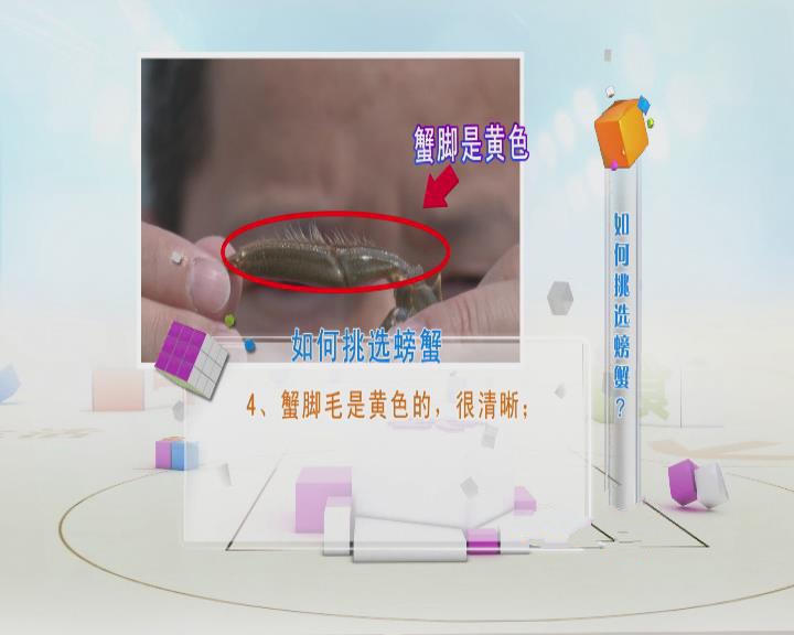 大闸蟹要用什么东西绑比较好,大闸蟹的正确绑法