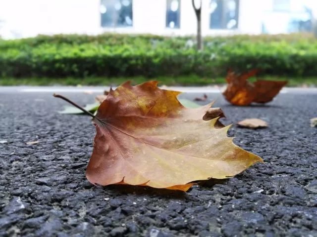 360手机和华为畅玩7x哪个更好,荣耀畅玩7x像素多少合适