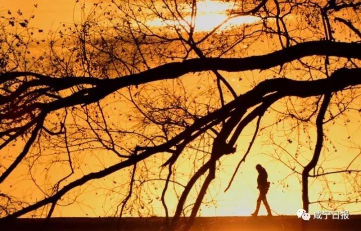 咸宁崇阳十大景点,湖北咸宁崇阳有什么风景