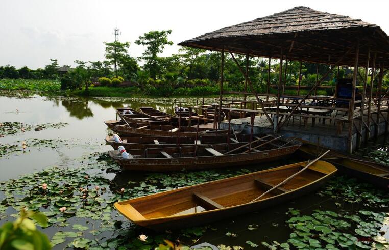 超强攻略广州长隆vs珠海长隆,长隆攻略最佳路线万圣节