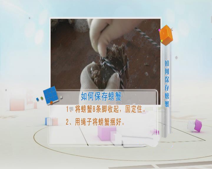 大闸蟹要用什么东西绑比较好,大闸蟹的正确绑法