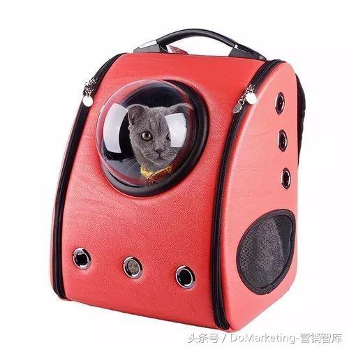 不撸猫做不好萌宠广告？你今天吸猫了吗？