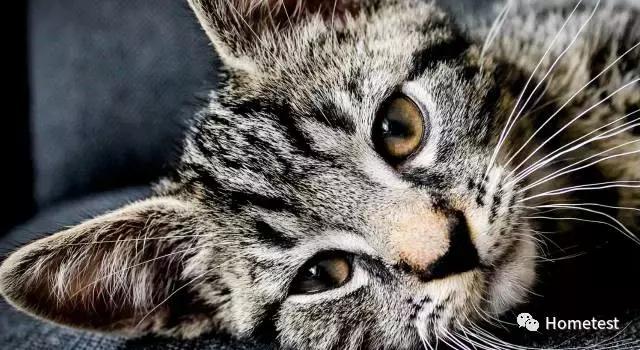 日本空气口罩测评,重松哪一款防尘口罩好用