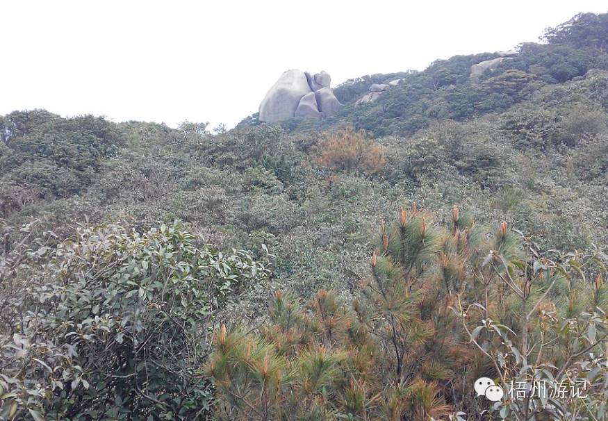 肇庆七星岩洞穴探险,广东肇庆七星岩自驾游攻略