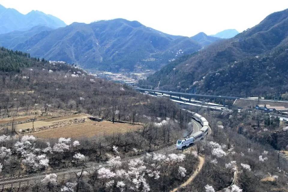 开往春天的列车，我们看图就行了