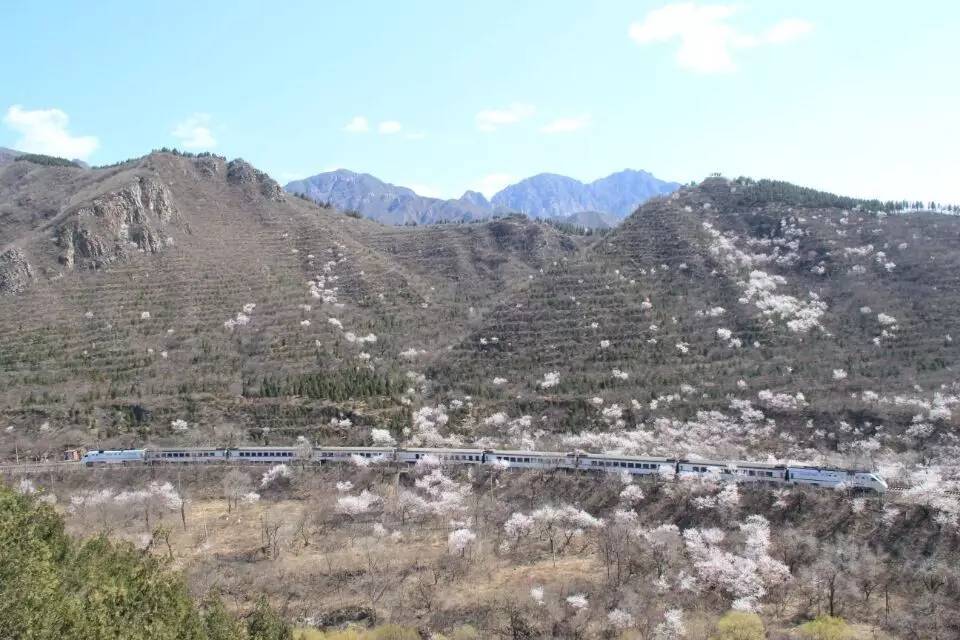 开往春天的列车，我们看图就行了