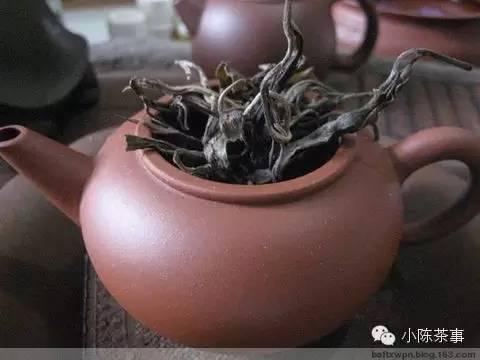 冲泡普洱茶太浓了怎么办,普洱茶冲泡技巧有几种方法