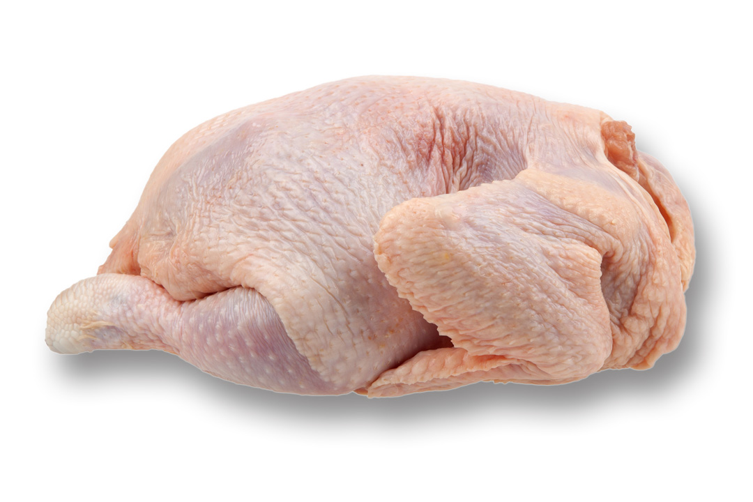 灵芝花胶煲鸡汤广东,灵芝煲鸡汤做法广东