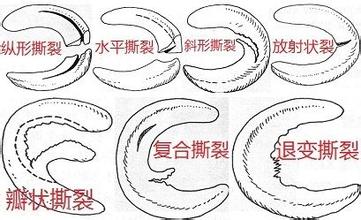 谈虎色变配图,谈虎色变上一句