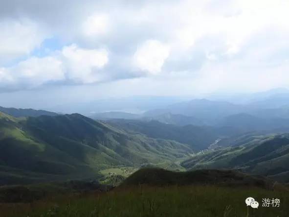 一周直播榜单,一周榜单