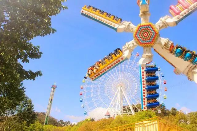 温州乐园体验,温州乐园游玩指南