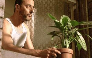 如何把小户型阳台改造成小花园,如何把露天阳台设计成花园