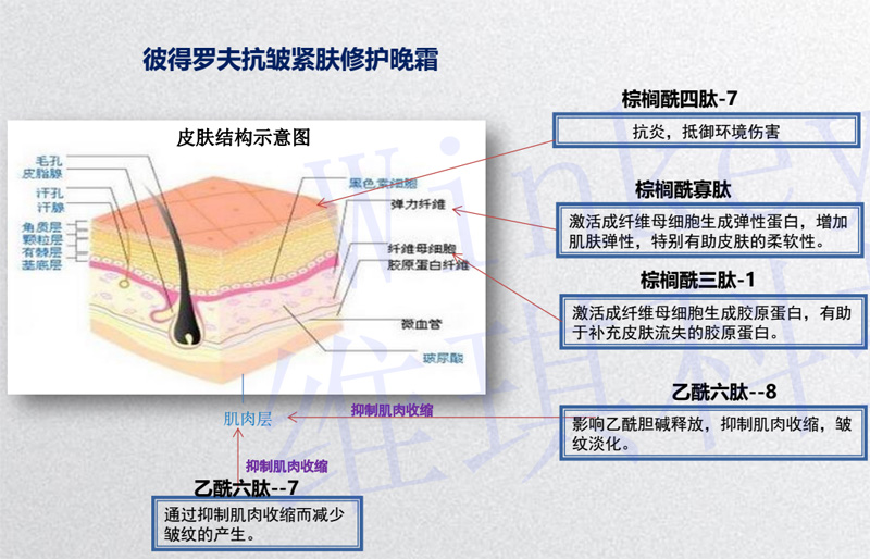 lamer精粹水雅诗兰黛,雅诗兰黛和lamer哪个品牌好