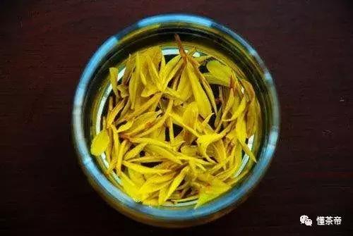黄金芽茶叶界的又一大奇葩,最顶级的黄金芽茶叶