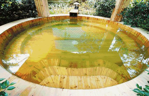 适合儿童去玩的恐龙世界,小孩能去常州恐龙园么