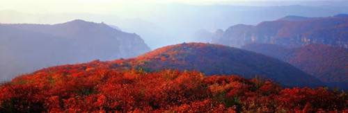 青天河靳家岭赏红叶攻略,上海青天河红叶最佳观赏时间