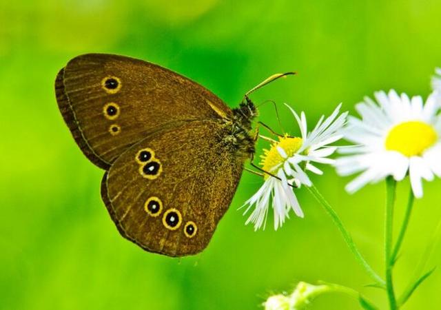 如何应对职场老油条的调侃,职场容易得罪领导的五句话