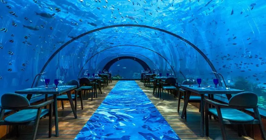 马尔代夫水下餐厅,马尔代夫水下餐厅最后四家免费