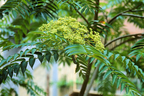 “地黄丸”们各有所爱,你别错爱喽!