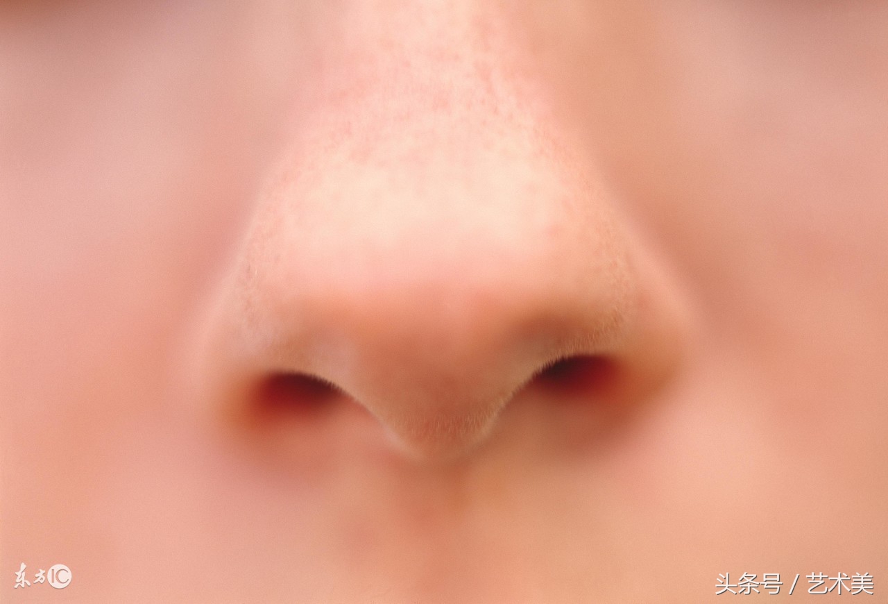 怎样按摩鼻子使鼻梁变高,鼻夹真的可以使鼻梁变高吗