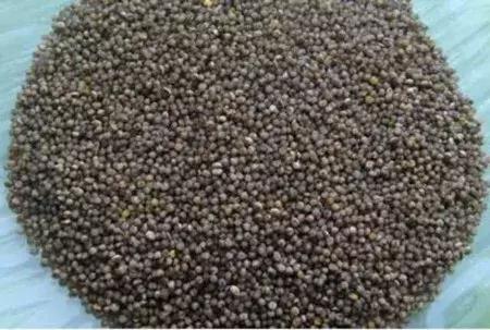 大农业今天行情,大农圈新闻