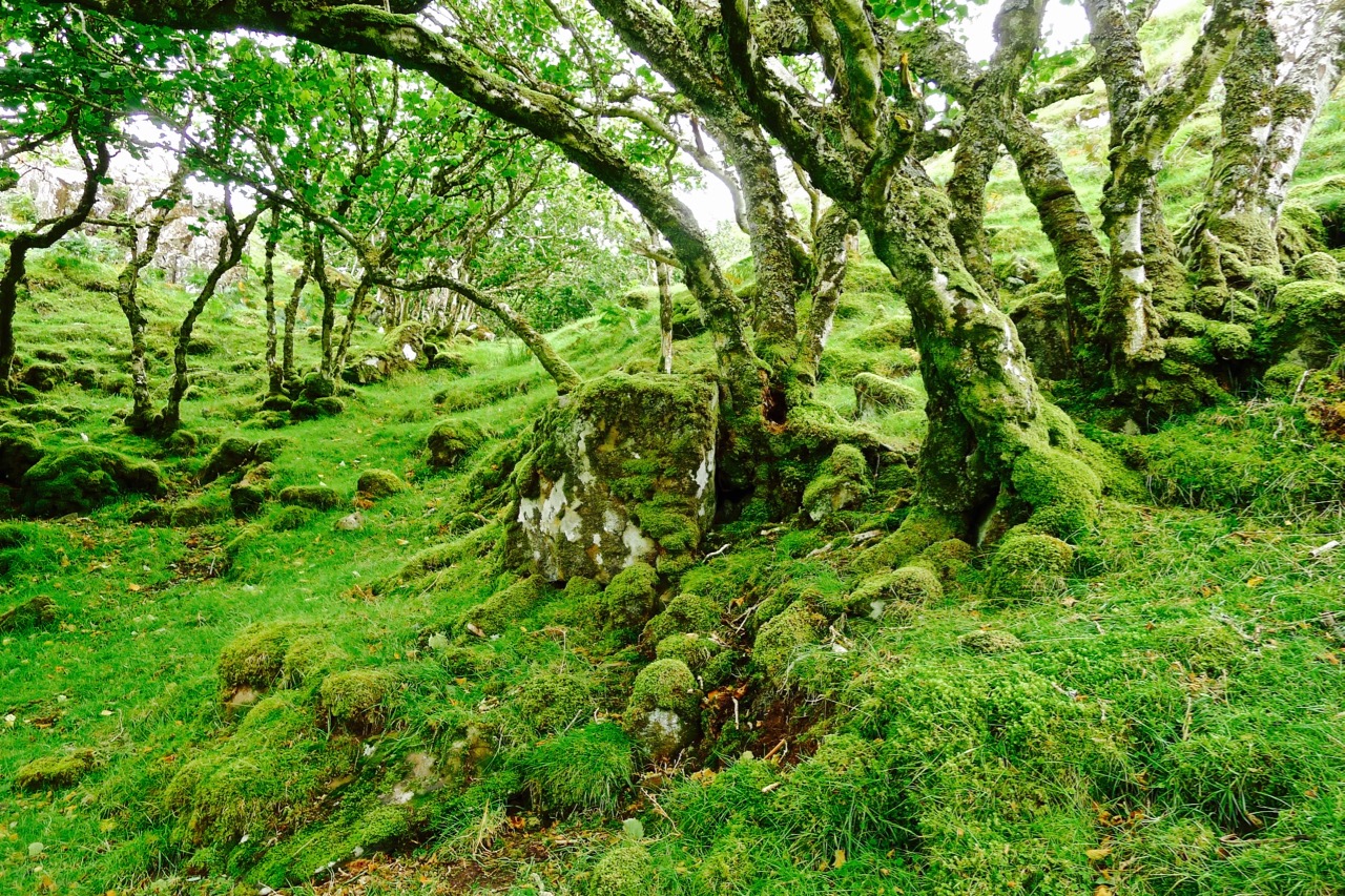 苏格兰高地天空岛,苏格兰高地和天空岛