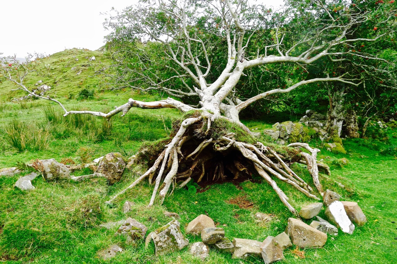 苏格兰高地天空岛,苏格兰高地和天空岛