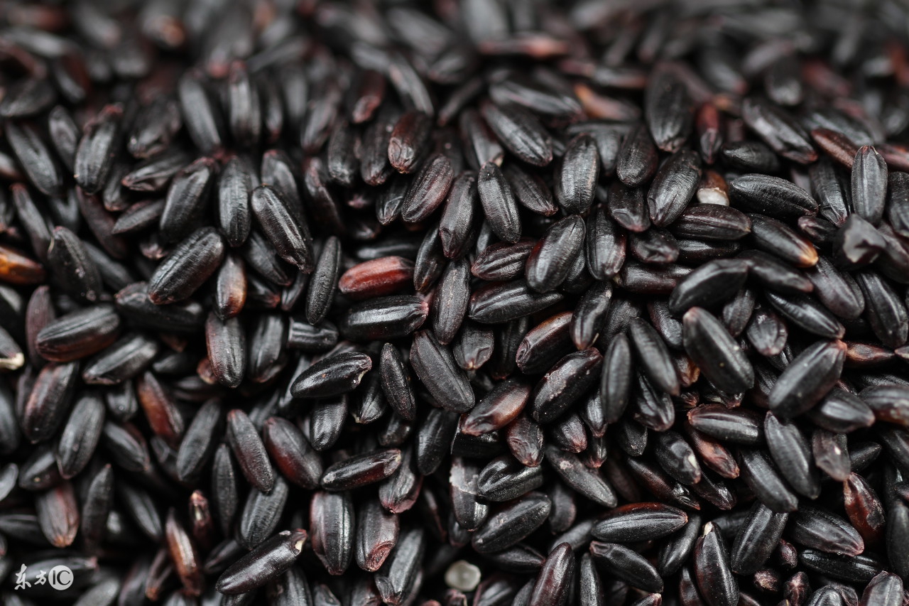 领略北美佳肴：在感恩节，来一杯特朗普都爱喝的玉米烧