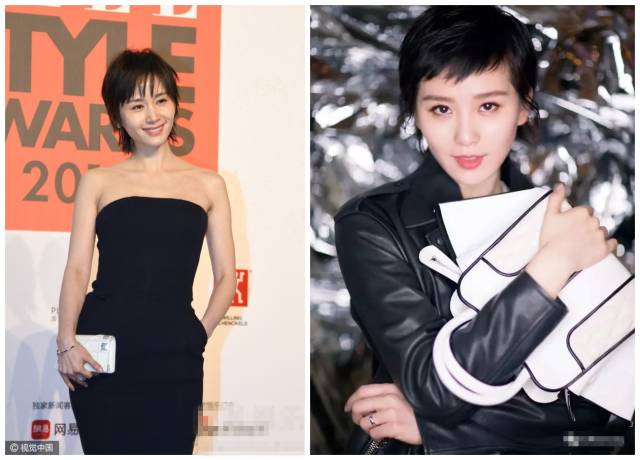 小八为什么走红,小八为什么总是怕人