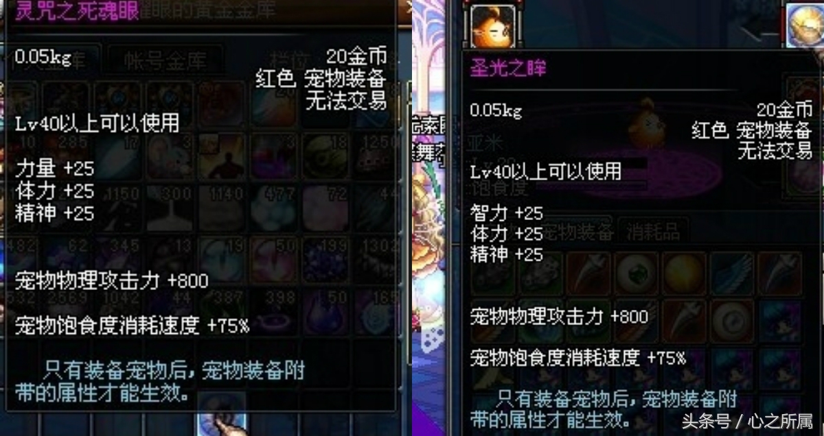 dnf极限的祭坛宠物装备大全,dnf极限祭坛爆什么宠物装备