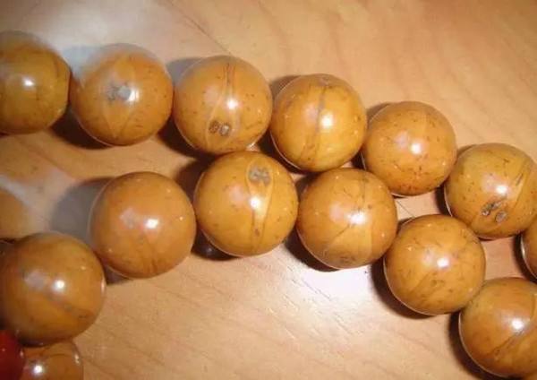 总是吆喝着买凤眼菩提，试问您真的懂？