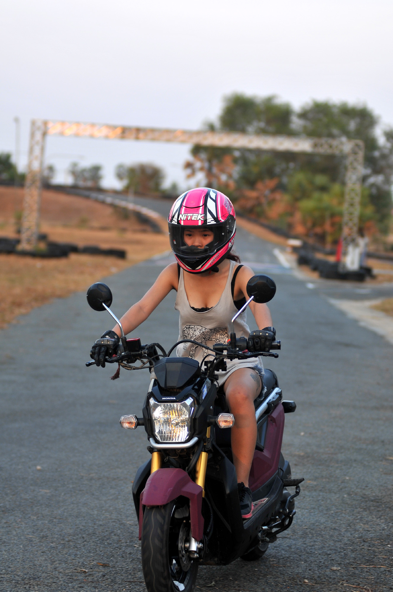 nitek璺戦瀷,nitek鏈敯