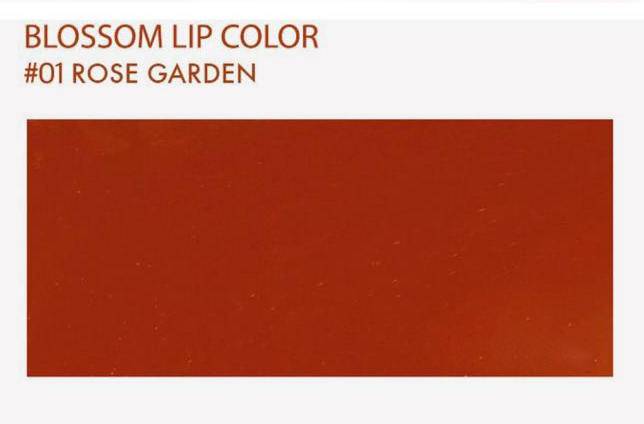 今年流行的口红色号大全,口红百元推荐送人