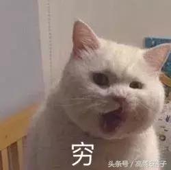 双11大牌美妆券攻略,双11护肤品高姿抢购清单