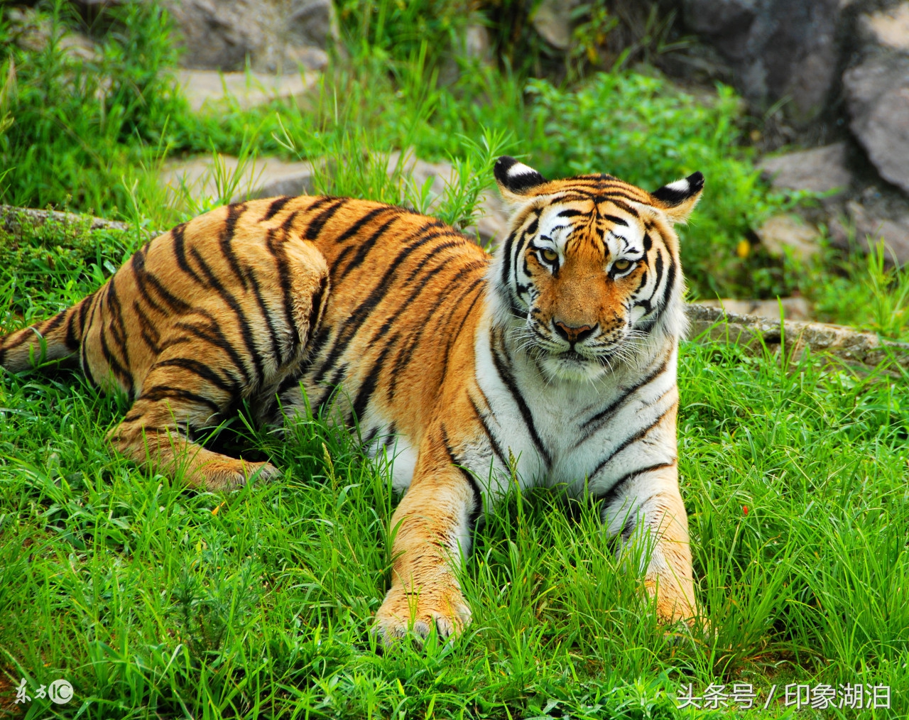 给孩子起名叫什么,稳重大气的宝宝起名没有之一