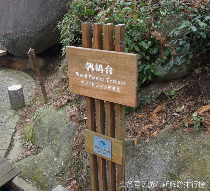 景点美景打卡宁波,宁波十大免费旅游景点四明山