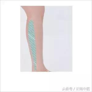 按摩小腿有助长高吗,按摩小腿能有效帮助什么呢