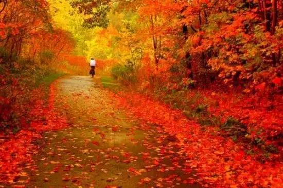 11月国内最值得去的景点,推荐七月国内最佳旅行目的地