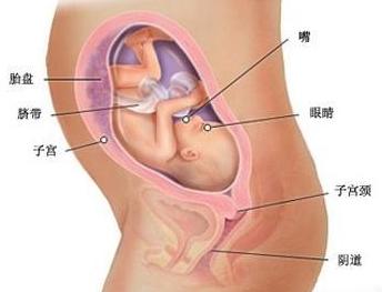 关系到宝妈和宝宝的健康，孕妇用药一定要注意这些