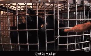 看了让人非常难受的高分电影,这辈子都不想看的电影